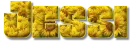 Sunflowers - Jessi