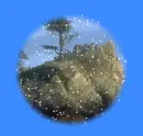 Snow animated 
