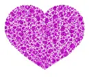 heart made of hearts