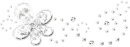 Silver Flower ~ div