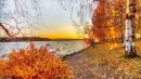Autumn Fall ~ Background