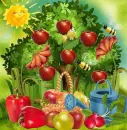 Apple ~ Background