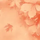 Autumn Fall ~ Background
