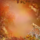 Autumn Fall ~ Background