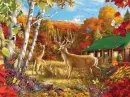 Autumn Fall ~ Background
