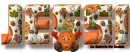 Pumpkin Text - Jessi