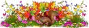 Autumn Divider