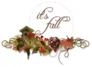 it's fall, Seasons, Autumn, Text, Shoutouts