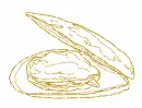 Mussels
