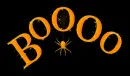 Halloween Boo Spider
