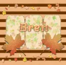 Bren