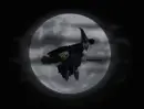 Witchy Moon