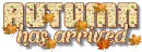 Autumn has arrived