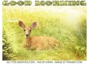 GOOD MORNING, ANIMALS, DEER, GREETINGS, NATURE