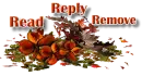 Autumn -RRR