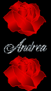 Andrea