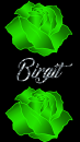 Birgit