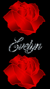 Evelyn