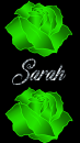 Sarah