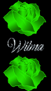 Wilma