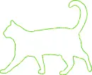 cat