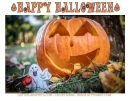 HAPPY HALLOWEEN, PUMPKINS, HOLIDAYS, TEXT, HALLOWEEN