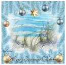 Merry Summer Christmas