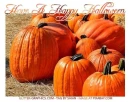 HAVE A HAPPY HALLOWEEN, HOLIDAYS, TEXT, PUMPKINS