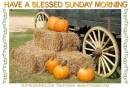 HAVE A BLESSED SUNDAY MORNING