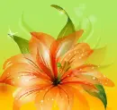 Autumn Fall ~ Background ~ fg