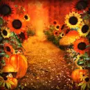 Autumn Fall ~ Background