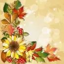 Autumn Fall ~ Background