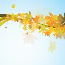 Autumn Fall ~ Background
