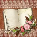 Pink flowers ~ Background