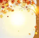 Autumn Fall ~ Background