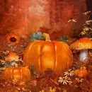 Autumn Fall ~ Background ~ fg