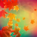 Autumn Fall ~ Background