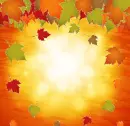 Autumn Fall ~ Background