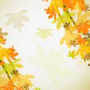 Autumn Fall ~ Background