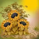 Autumn Fall ~ Background