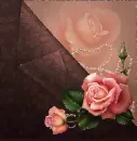 Pink Roses ~ Background