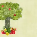 Apple Tree ~ Background