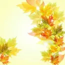 Autumn Fall ~ Background