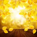 Autumn Fall ~ Background