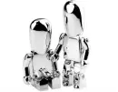 RiseSilverRoboticCouple