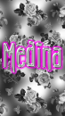 Medina