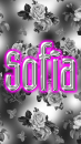 Sofia