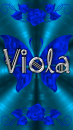 Viola