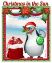 Its Christmas in the Sun