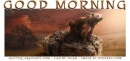 GOOD MORNING, SUNRISE, BEARS, FALL, TEXT